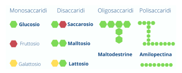 Schema Carboidrati